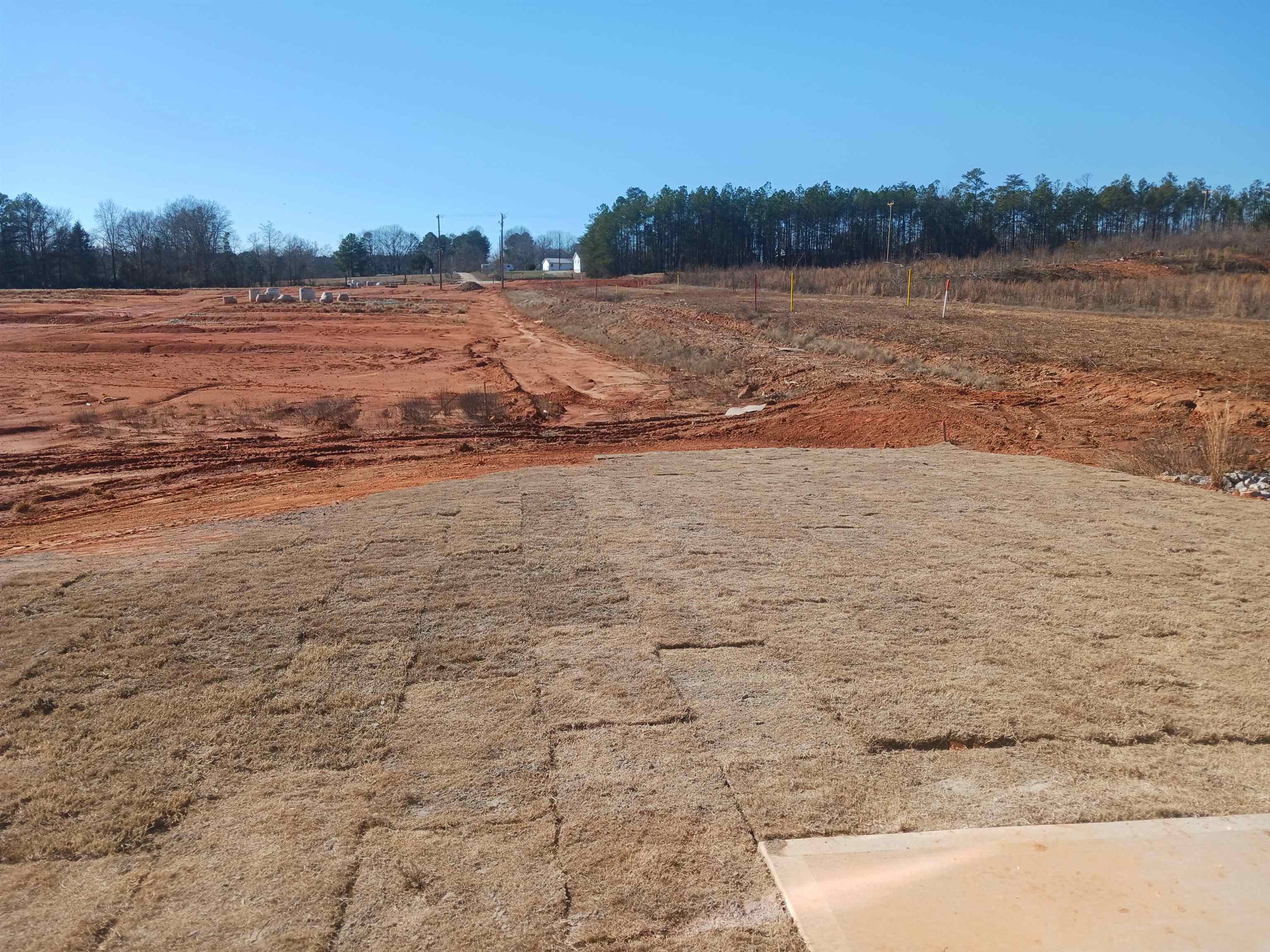 3072 Emberly Drive Roebuck, SC 29376 - Photo 31 of 33