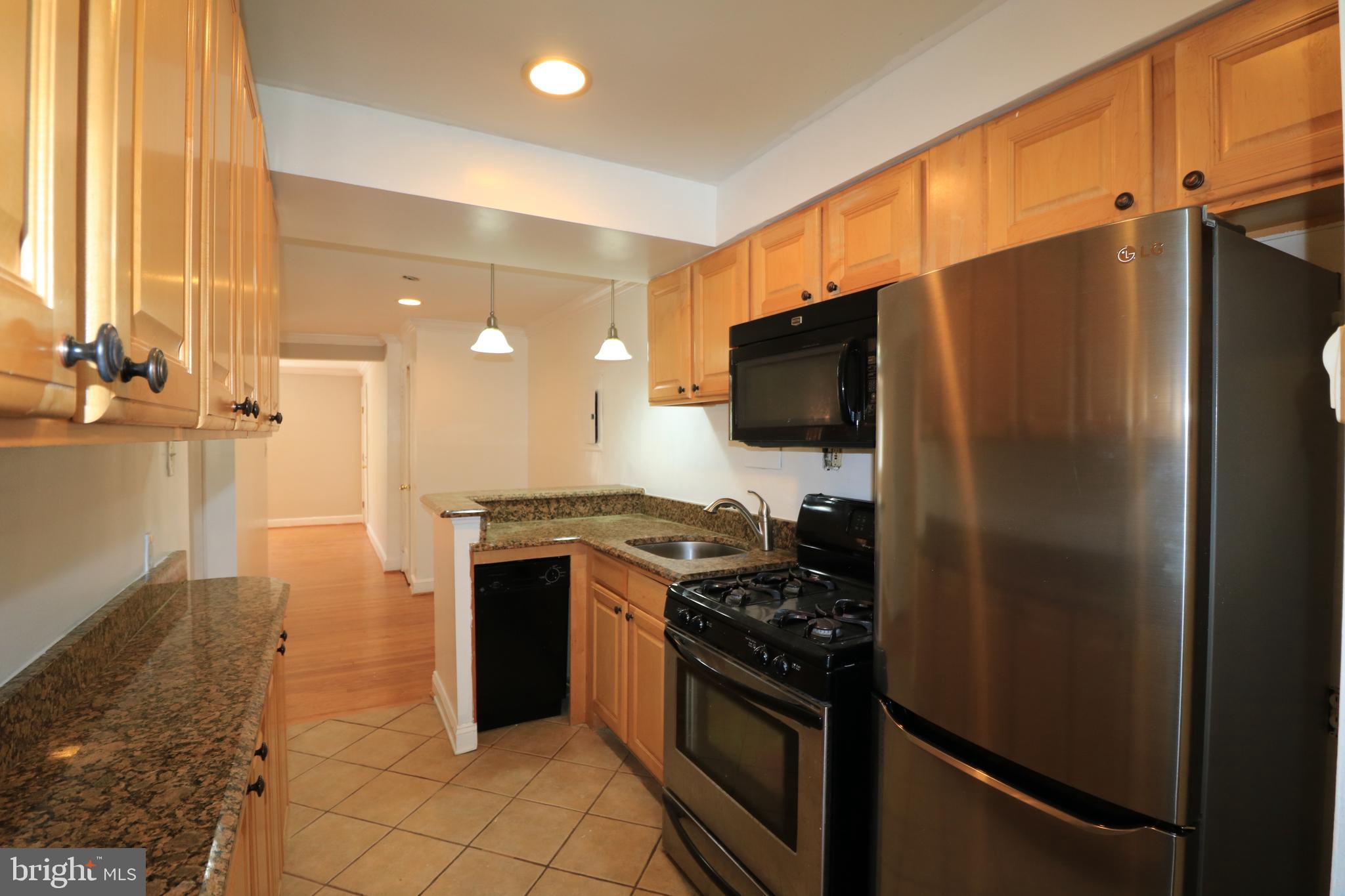 8708 Bradford Road, Unit 201 Silver Spring, MD 20901 - Photo 3 of 34 Nice Kitchen