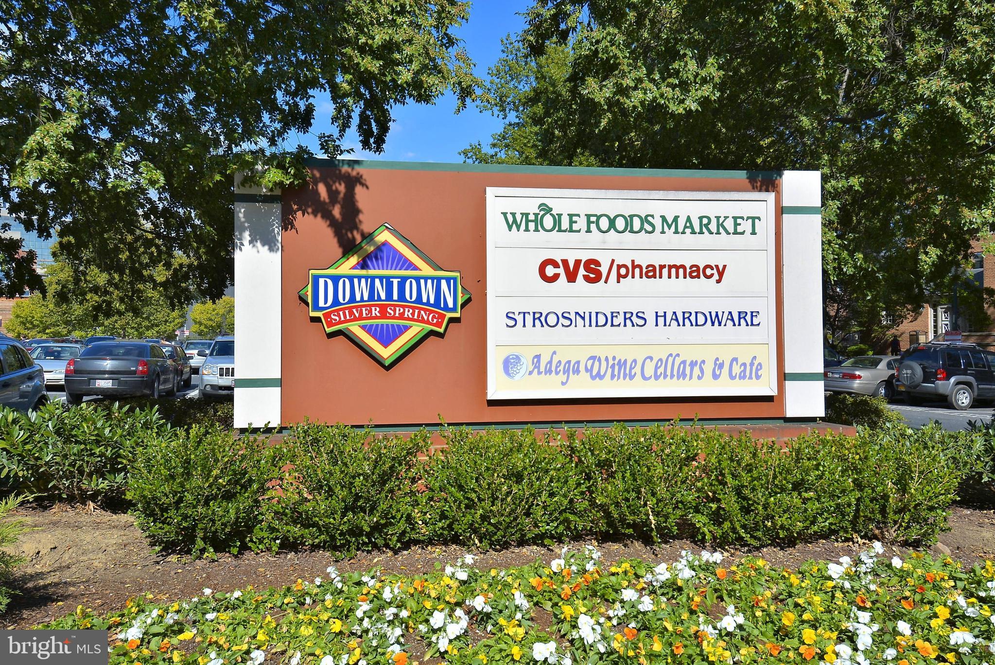 8708 Bradford Road, Unit 201 Silver Spring, MD 20901 - Photo 32 of 34 Shopping Nearby