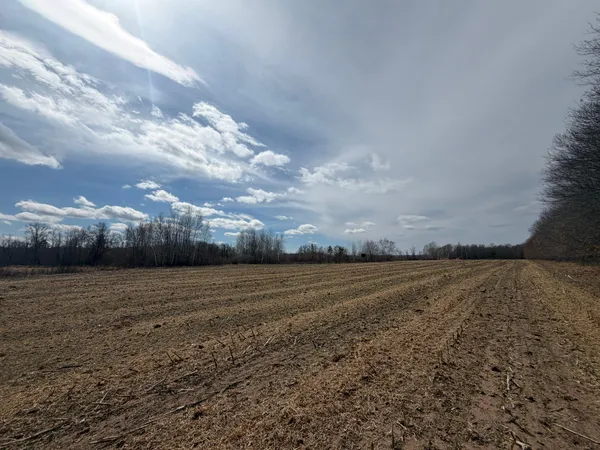 $150,000 | Xxxxx Icehouse Bridge Road, Webster, WI 54893