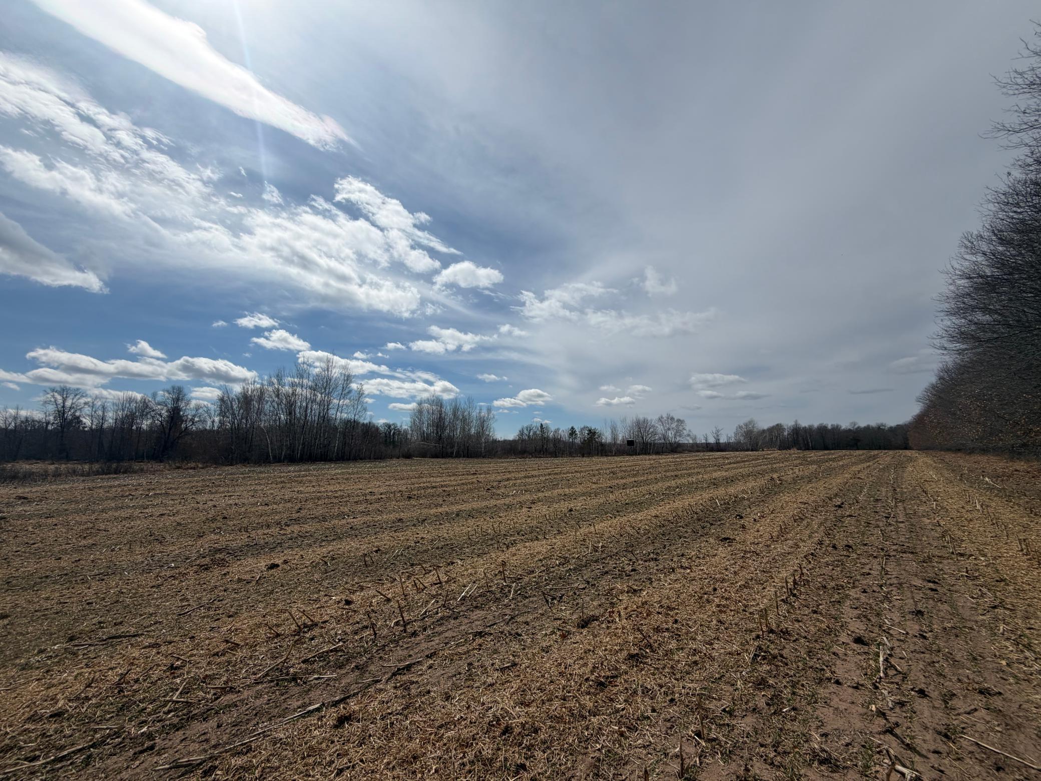 Xxxxx Icehouse Bridge Road Webster, WI 54893 - Photo 4 of 6