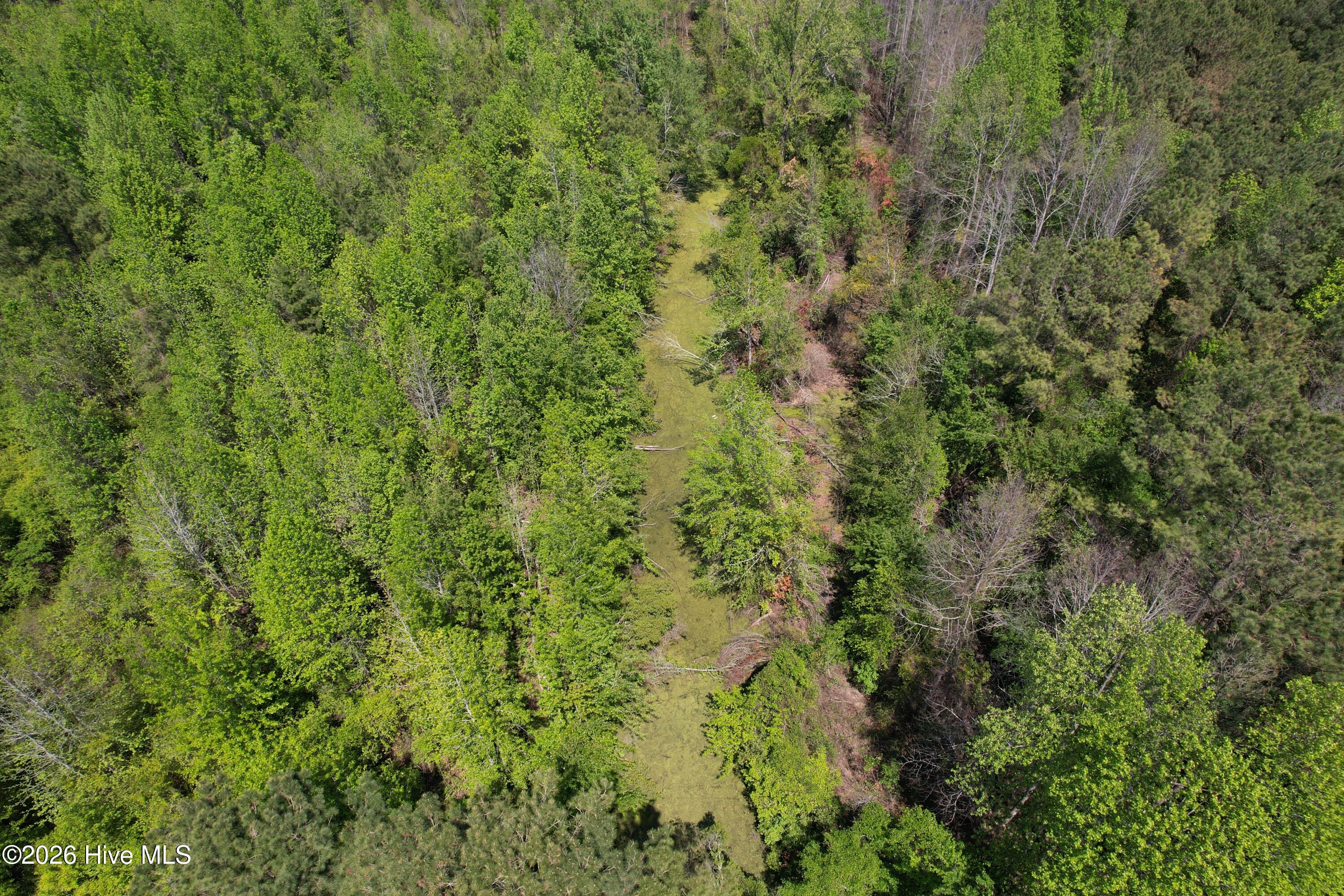 4758 Princess Ann Road Chadbourn, NC 28431 - Photo 17 of 35 Image 15