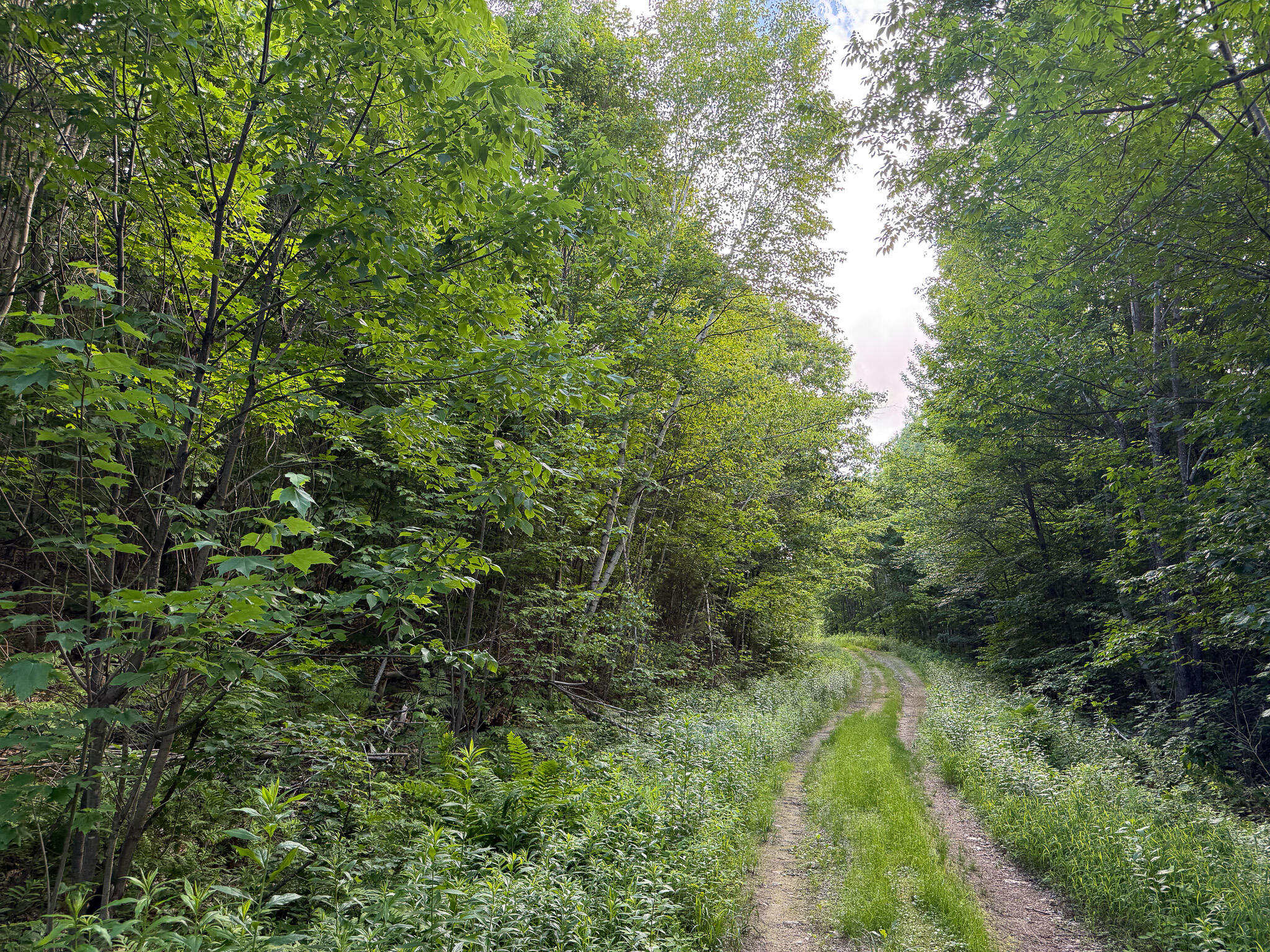 10 Map Road Peru, ME 04290 - Photo 5 of 21