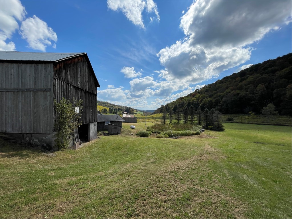 2027 West Platner Brook Road Delhi, NY 13753 - Photo 22 of 36