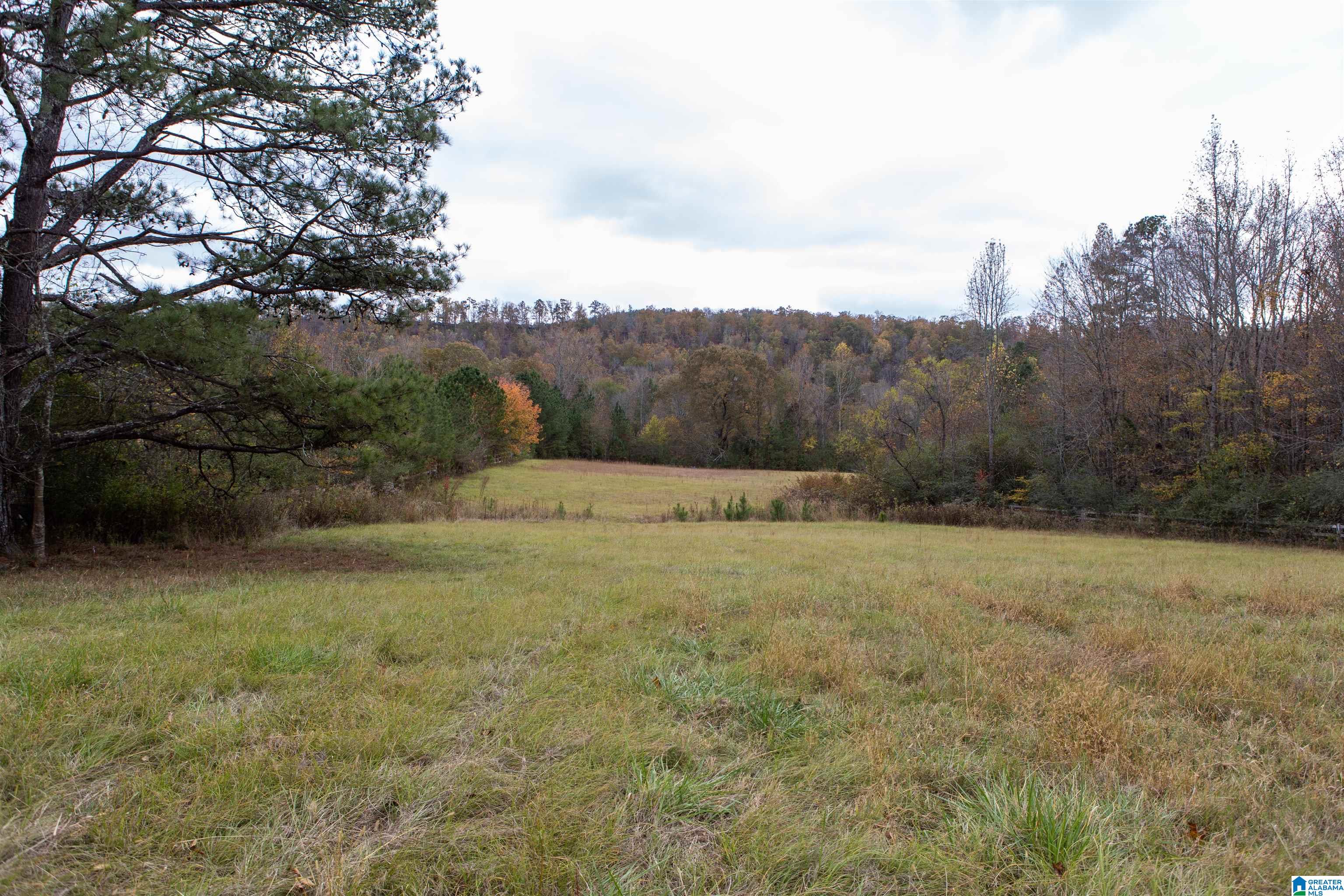 10543 Ford Valley Road Gadsden, AL 35905 - Photo 30 of 31