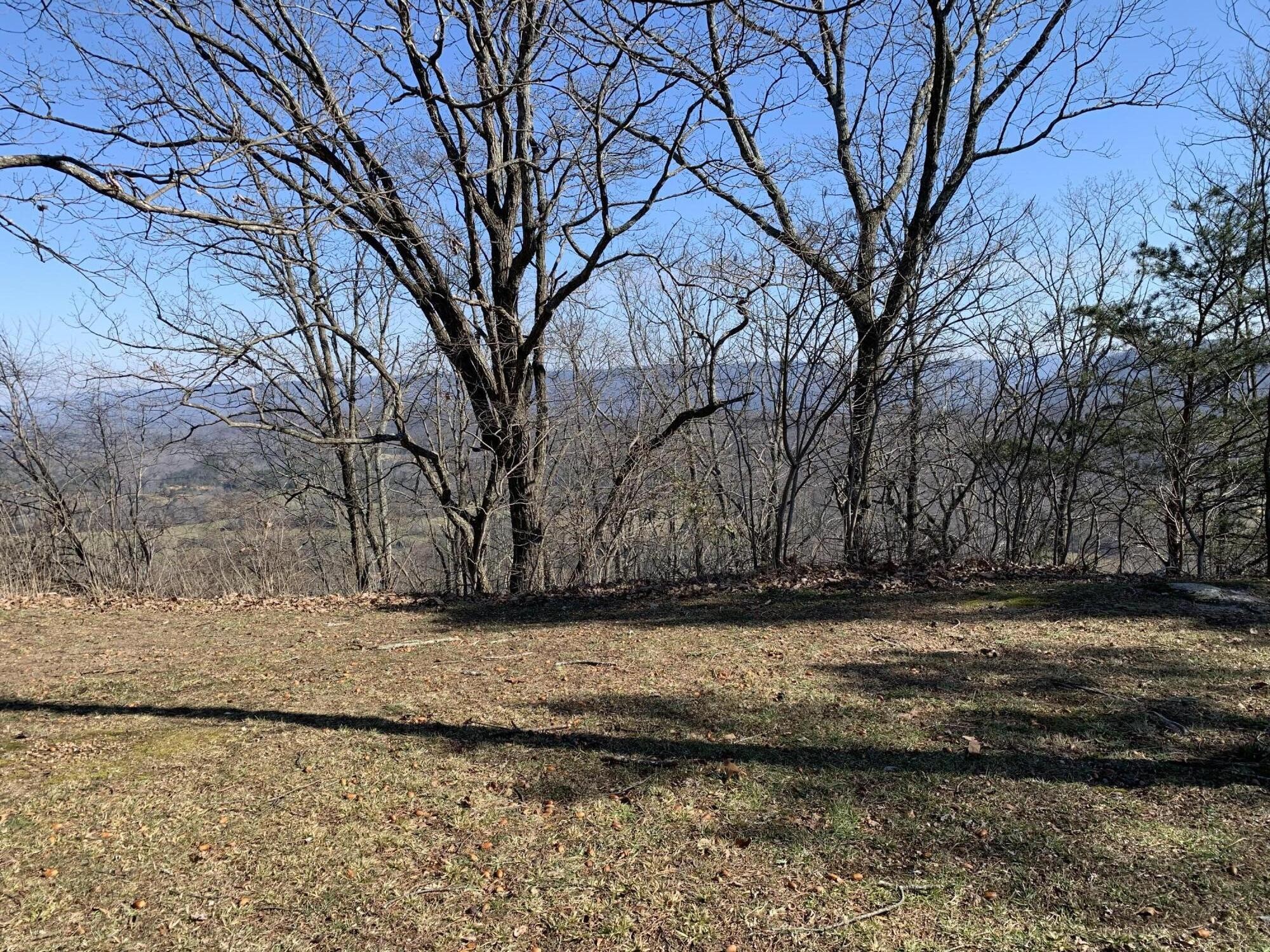 0 County Road Flat Rock, AL 35966 - Photo 10 of 25 Gallery Image 10