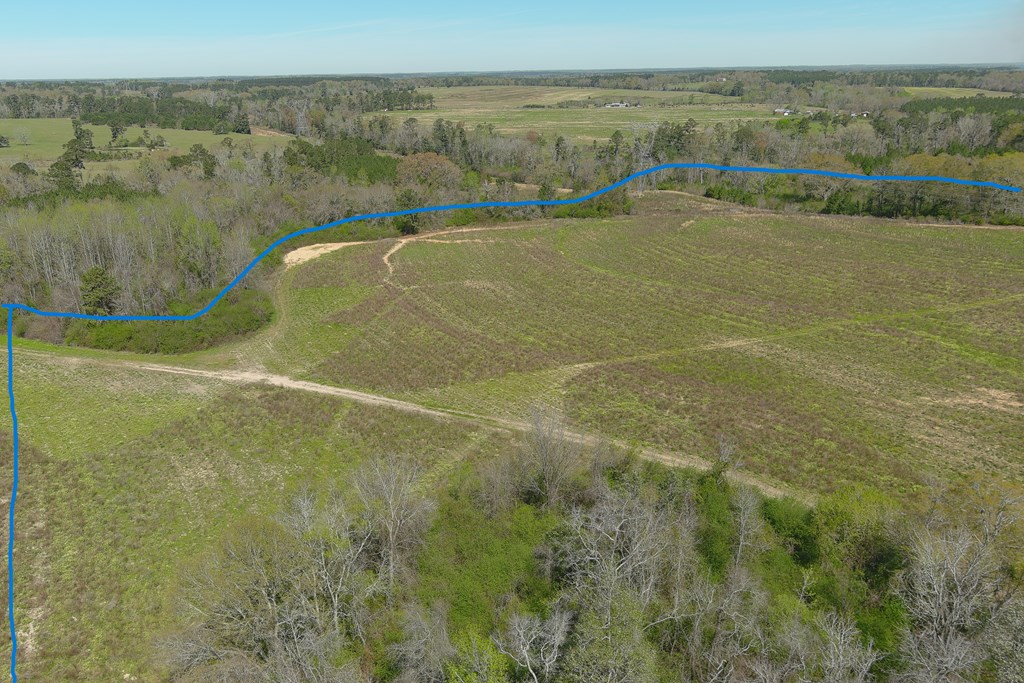 0 Macedonia Ch Road Columbia, AL 36319 - Photo 6 of 61