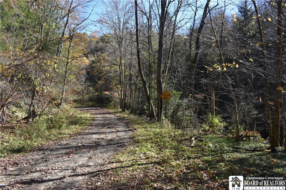 3157 Ball Road Arkwright, NY 14063 - Photo 26 of 28
