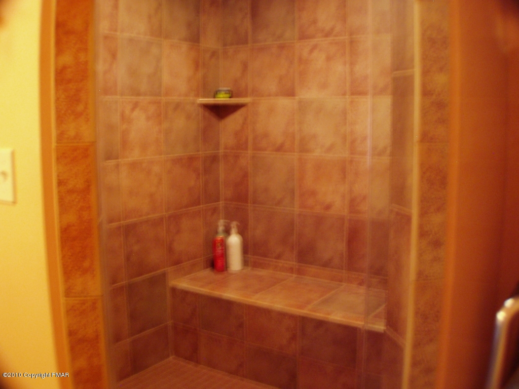 209 Blue Ridge Drive Canadensis, PA 18325 - Photo 17 of 19 Walk in tiled shower in master