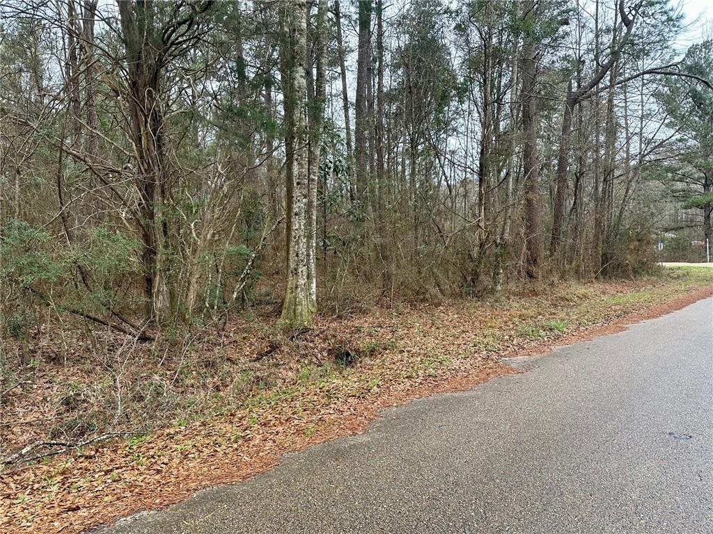 Tbd Mitchell City Road Bogalusa, LA 70427 - Photo 3 of 7 Gallery Image 3