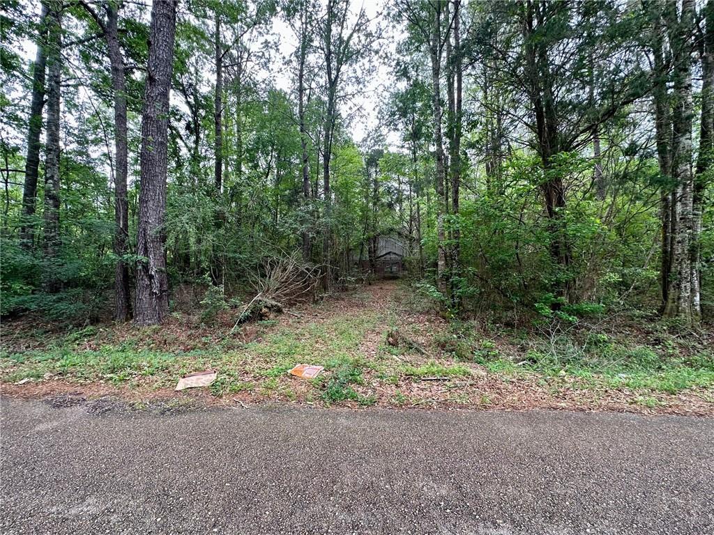 Tbd Mitchell City Road Bogalusa, LA 70427 - Photo 4 of 7 Gallery Image 4