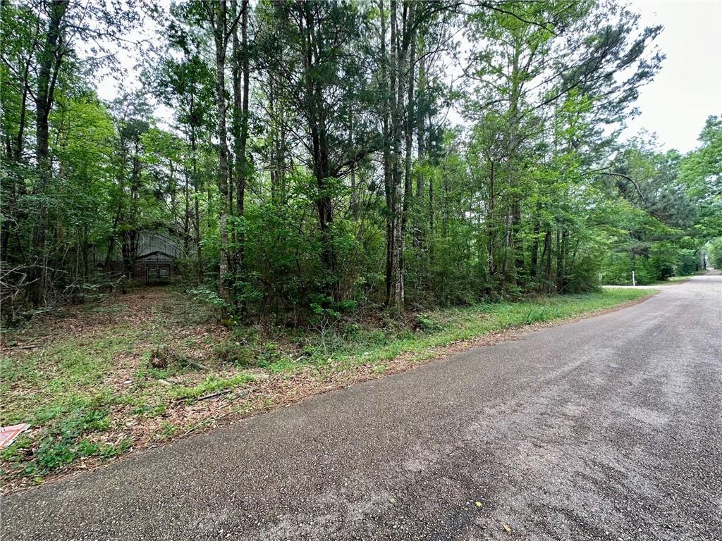 Tbd Mitchell City Road Bogalusa, LA 70427 - Photo 6 of 7 Gallery Image 6