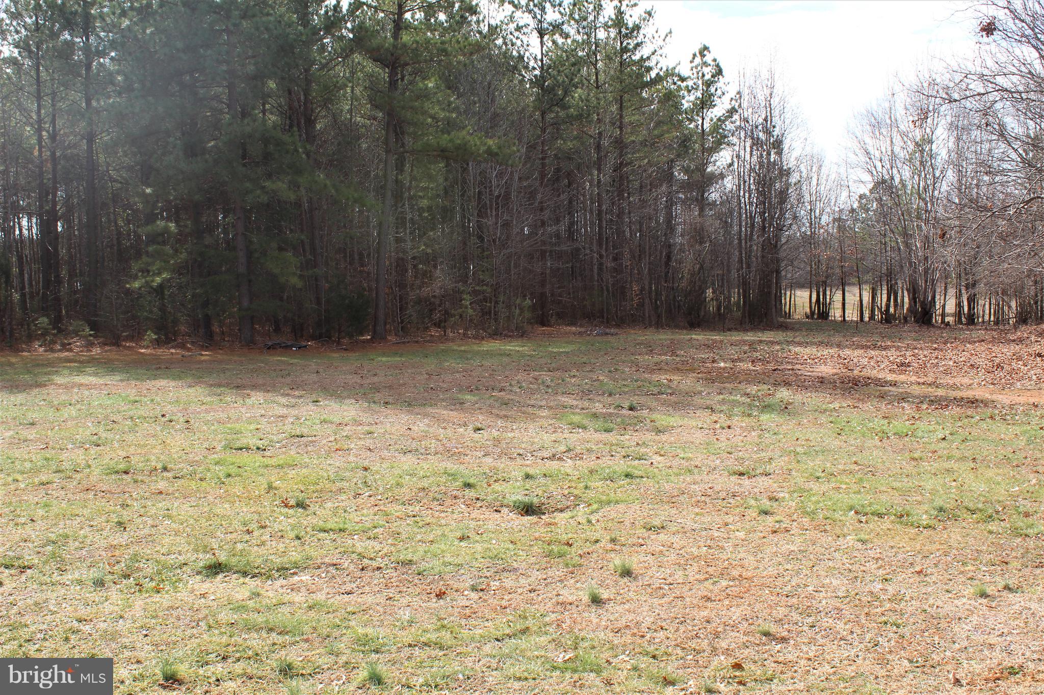 344 Mallory Road Louisa, VA 23093 - Photo 5 of 33