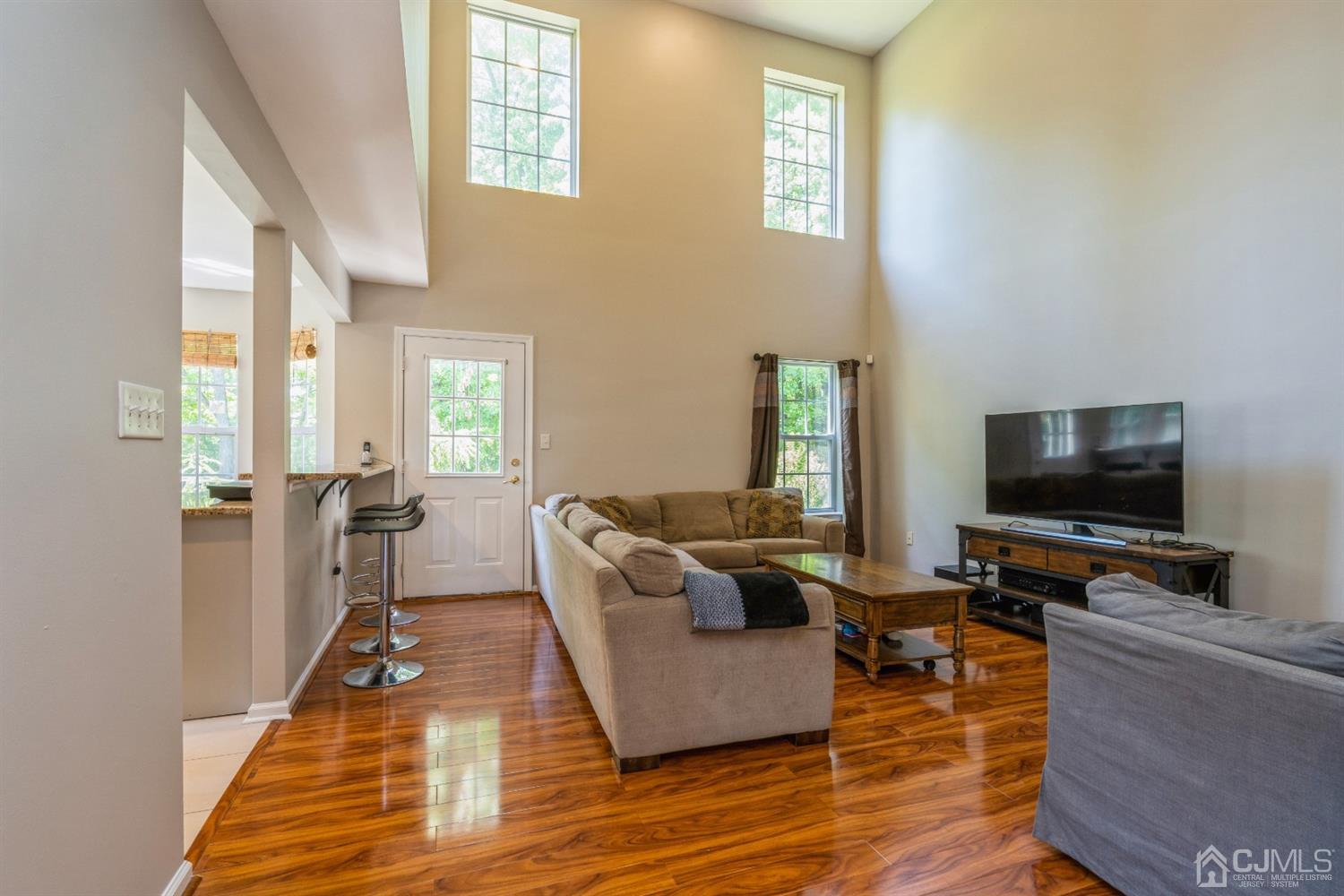 202 Hawthorne Road North Brunswick, NJ 08902 - Photo 6 of 21 a living room with furniture and a flat screen tv