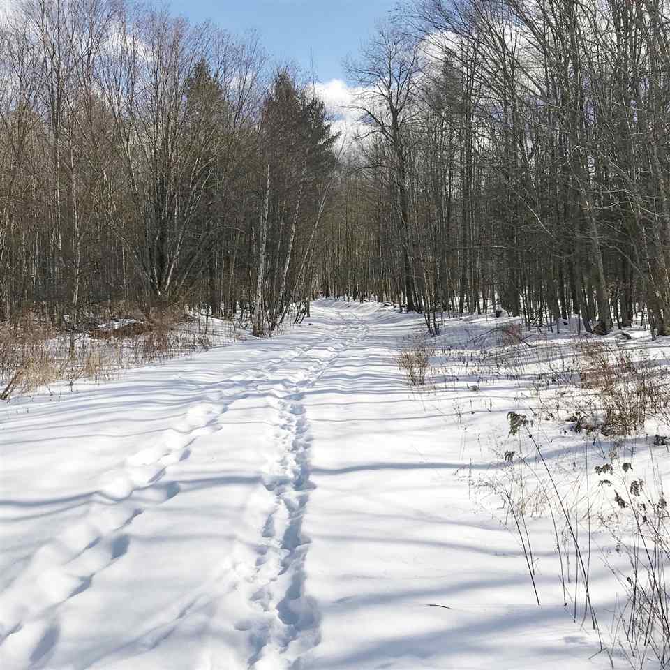 296 Browns Trace Road Jericho, VT 05465 - Photo 1 of 14