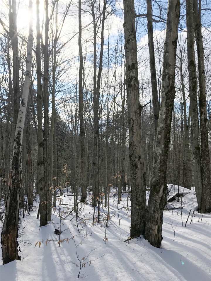 296 Browns Trace Road Jericho, VT 05465 - Photo 11 of 14