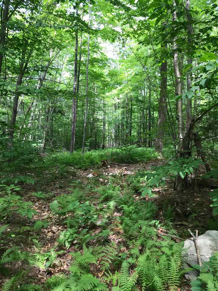 296 Browns Trace Road Jericho, VT 05465 - Photo 14 of 14