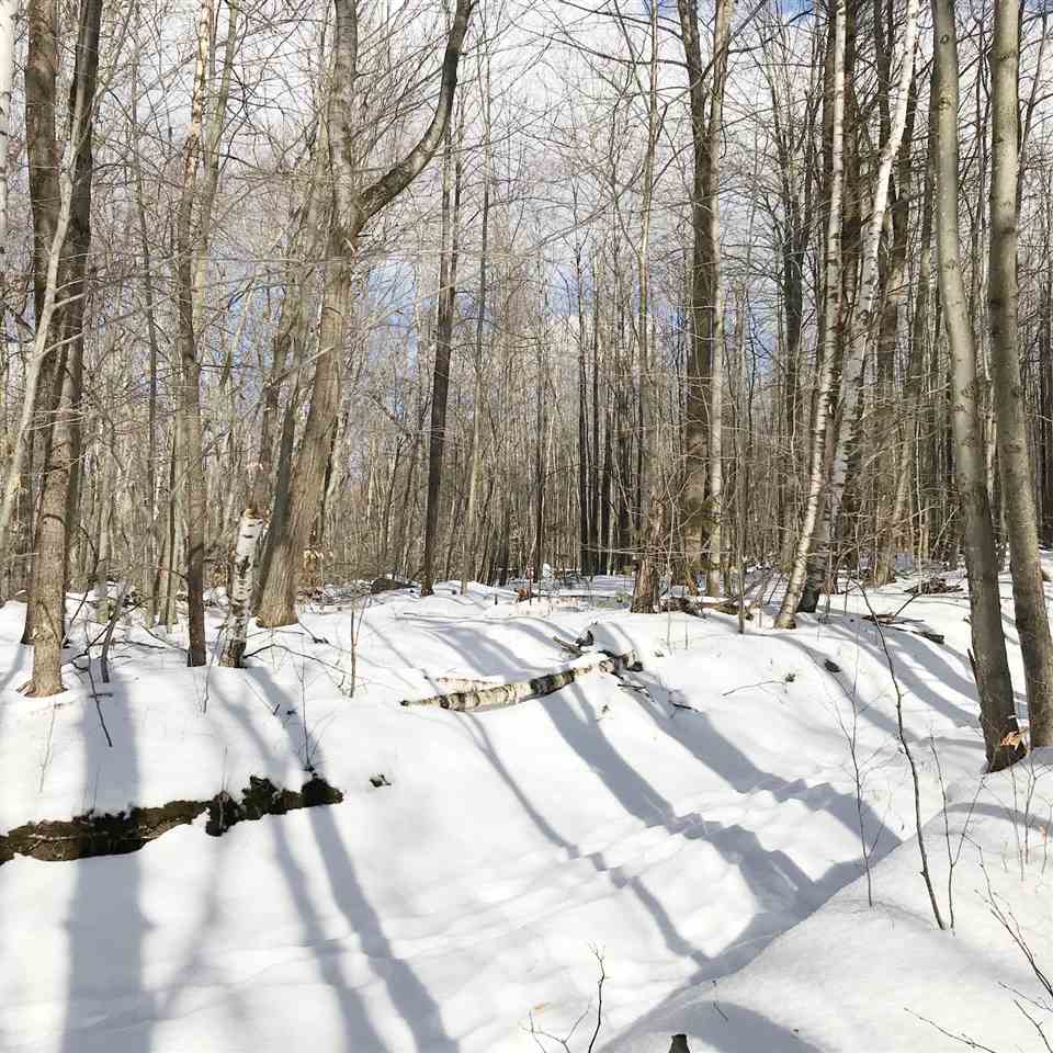 296 Browns Trace Road Jericho, VT 05465 - Photo 3 of 14