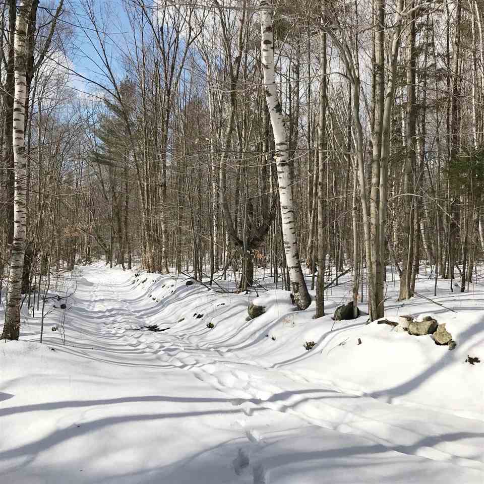 296 Browns Trace Road Jericho, VT 05465 - Photo 4 of 14