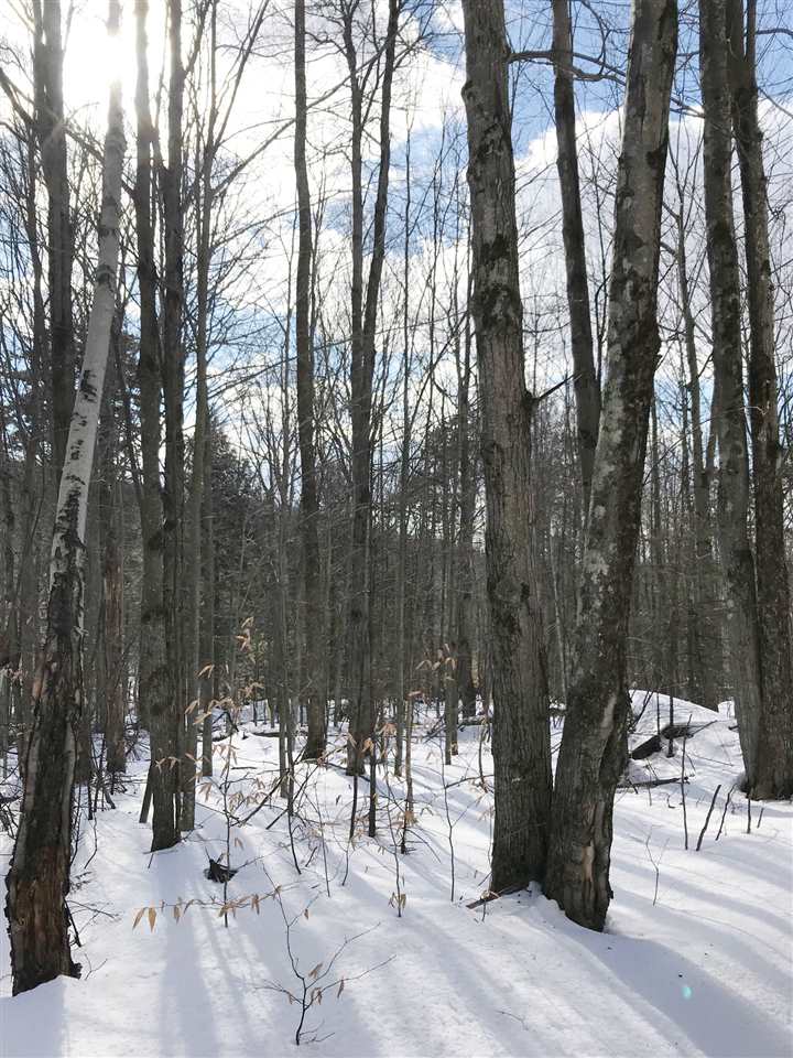 296 Browns Trace Road Jericho, VT 05465 - Photo 5 of 14