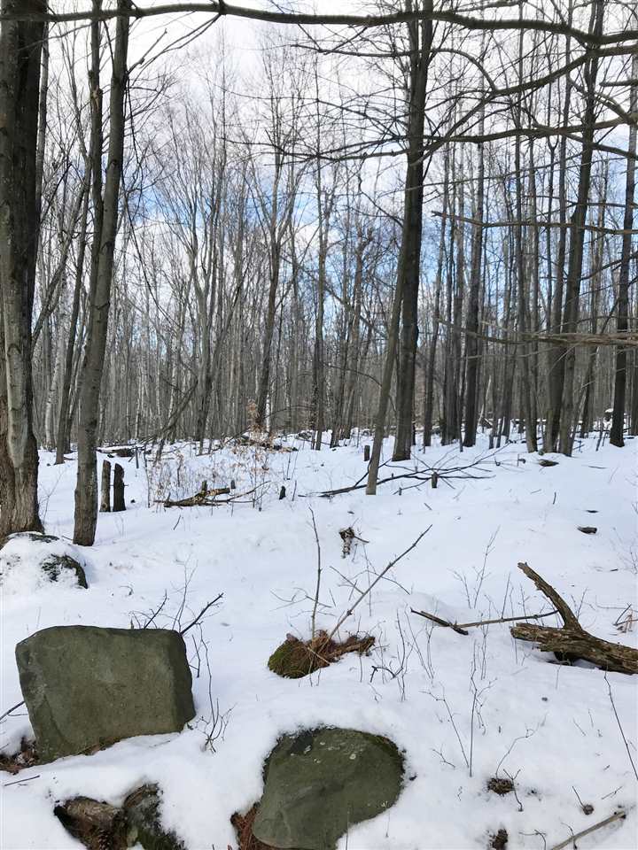 296 Browns Trace Road Jericho, VT 05465 - Photo 6 of 14