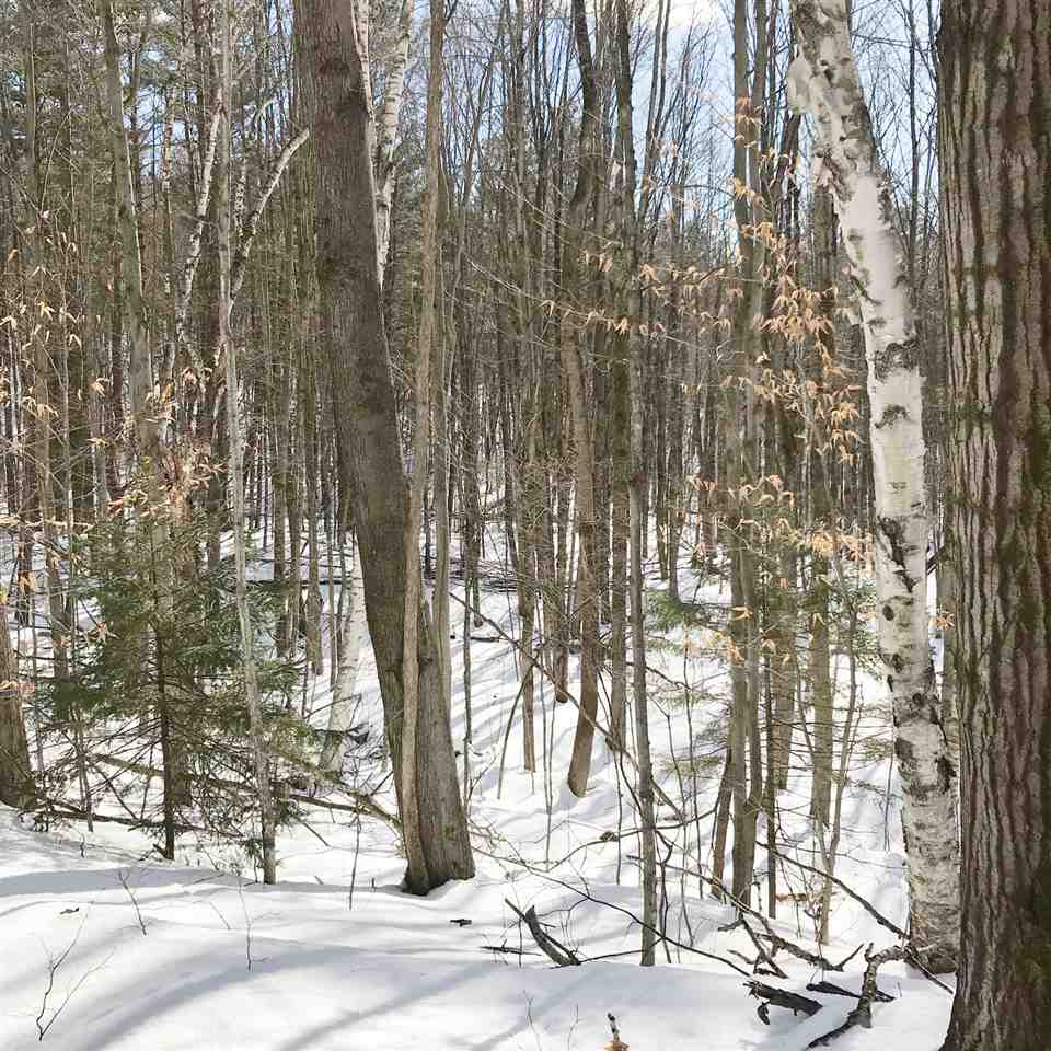 296 Browns Trace Road Jericho, VT 05465 - Photo 7 of 14