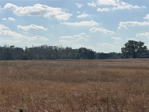 a view of a field of grass and trees