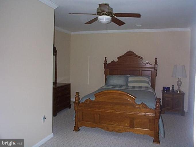19000 Shelburne Glebe Road Leesburg, VA 20175 - Photo 8 of 9 Master Bedroom