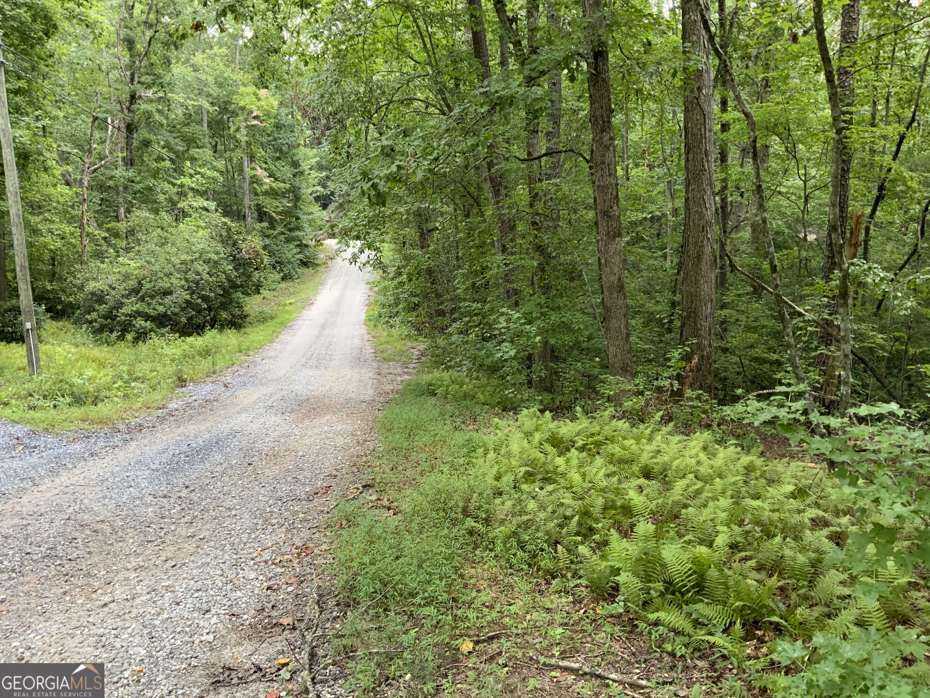 0 Skylake And Wheeler Ridge Road Sautee Nacoochee, GA 30571 - Photo 1 of 13 Gallery Image 1