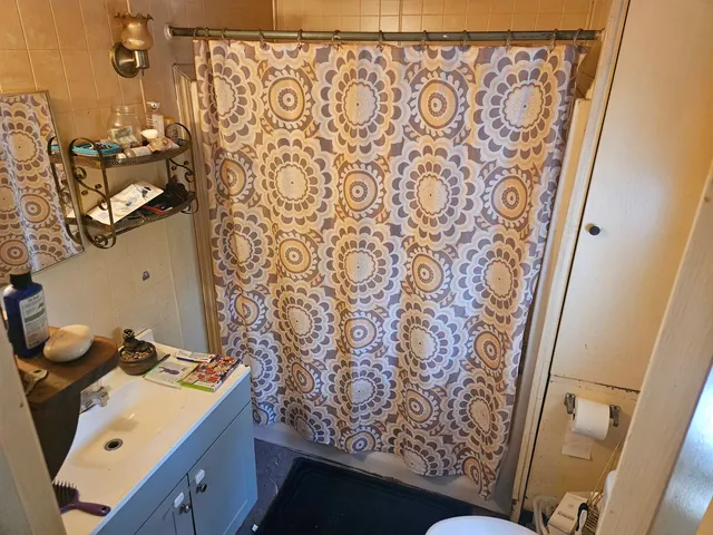 a bathroom with a toilet and shower curtain