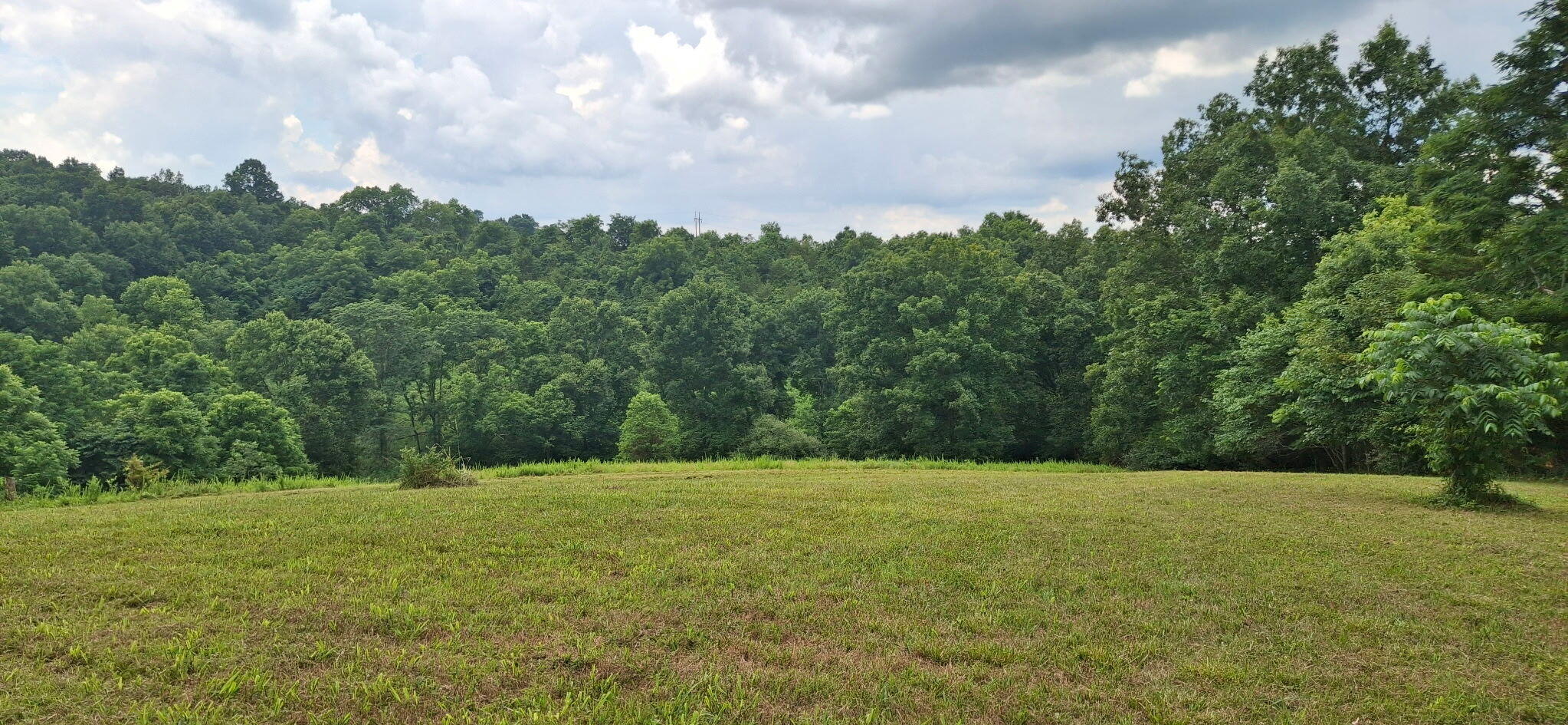 0 Tract 1 Cordova Road Williamstown, KY 41097 - Photo 4 of 7 1000054795