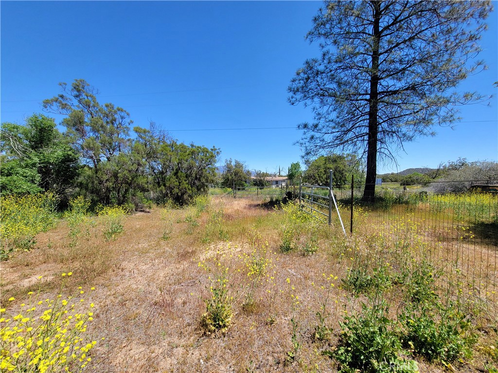 58804 Ramsey Road Anza, CA 92539 - Photo 51 of 51 a view of lake