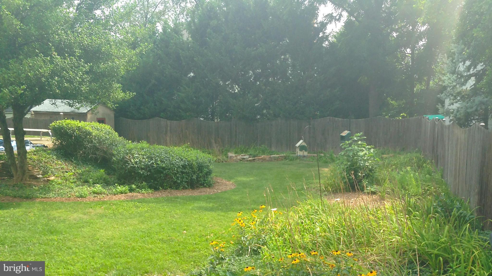 2302 Barbour Road Falls Church, VA 22043 - Photo 14 of 15 Garden