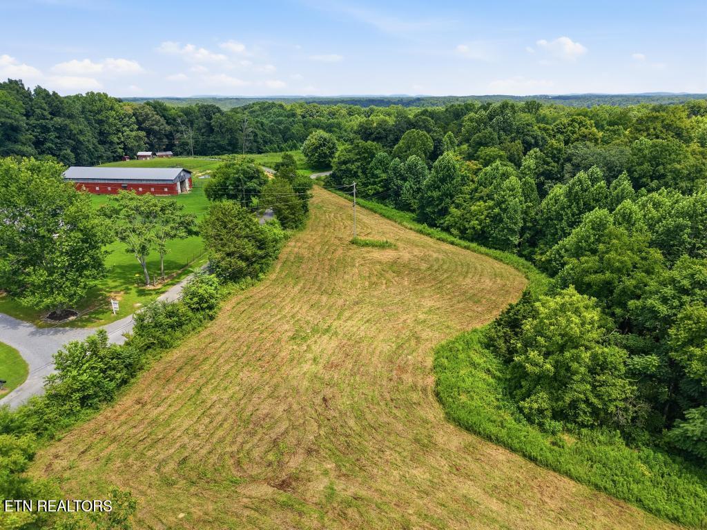 0 Freewill Ridge Road Gainesboro, TN 38562 - Photo 7 of 14 259_Freewill_Ridge_Road_Gainesboro_007