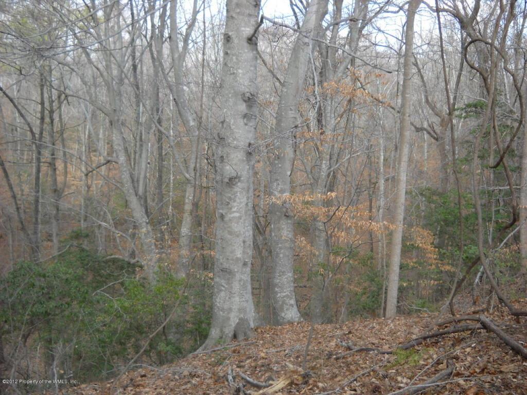 14123 Rolfe Highway Surry, VA 23883 - Photo 3 of 4 Gallery Image 3