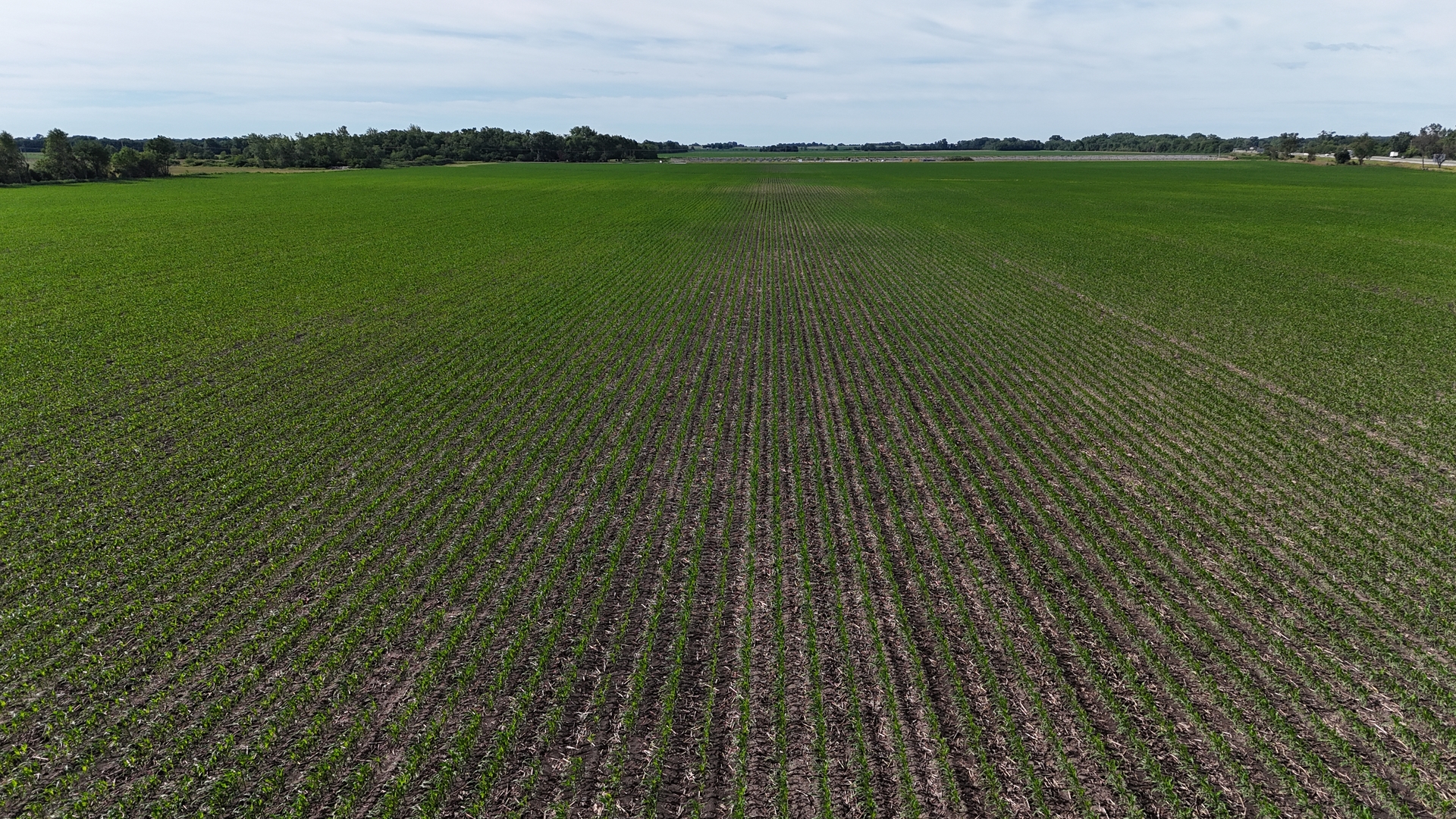 899 West 4000 Road South Kankakee, IL 60901 - Photo 3 of 7
