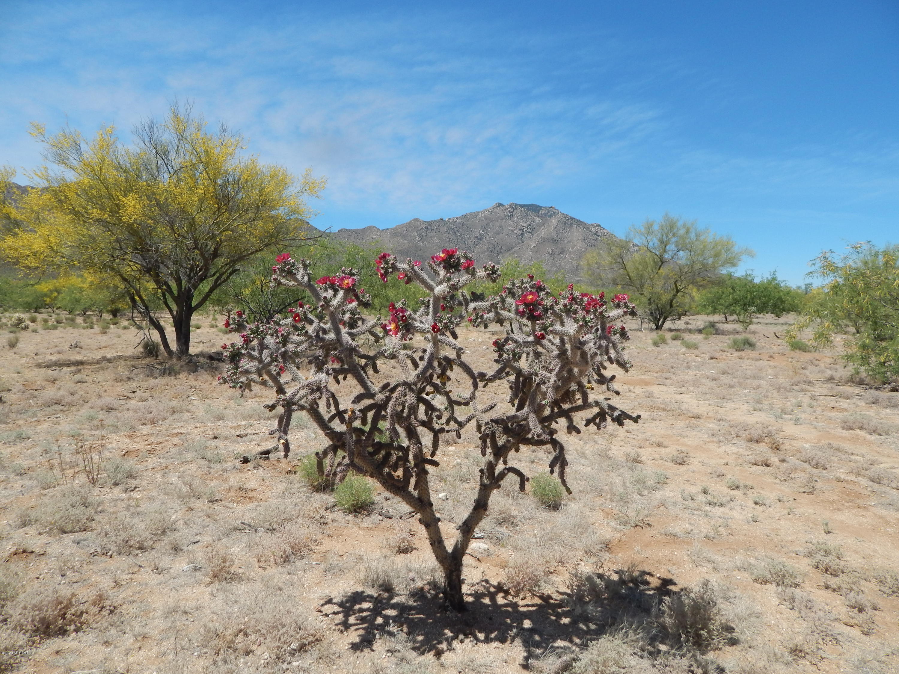 23400 West Ressie Road, Unit 98 Tucson, AZ 85735 - Photo 24 of 36