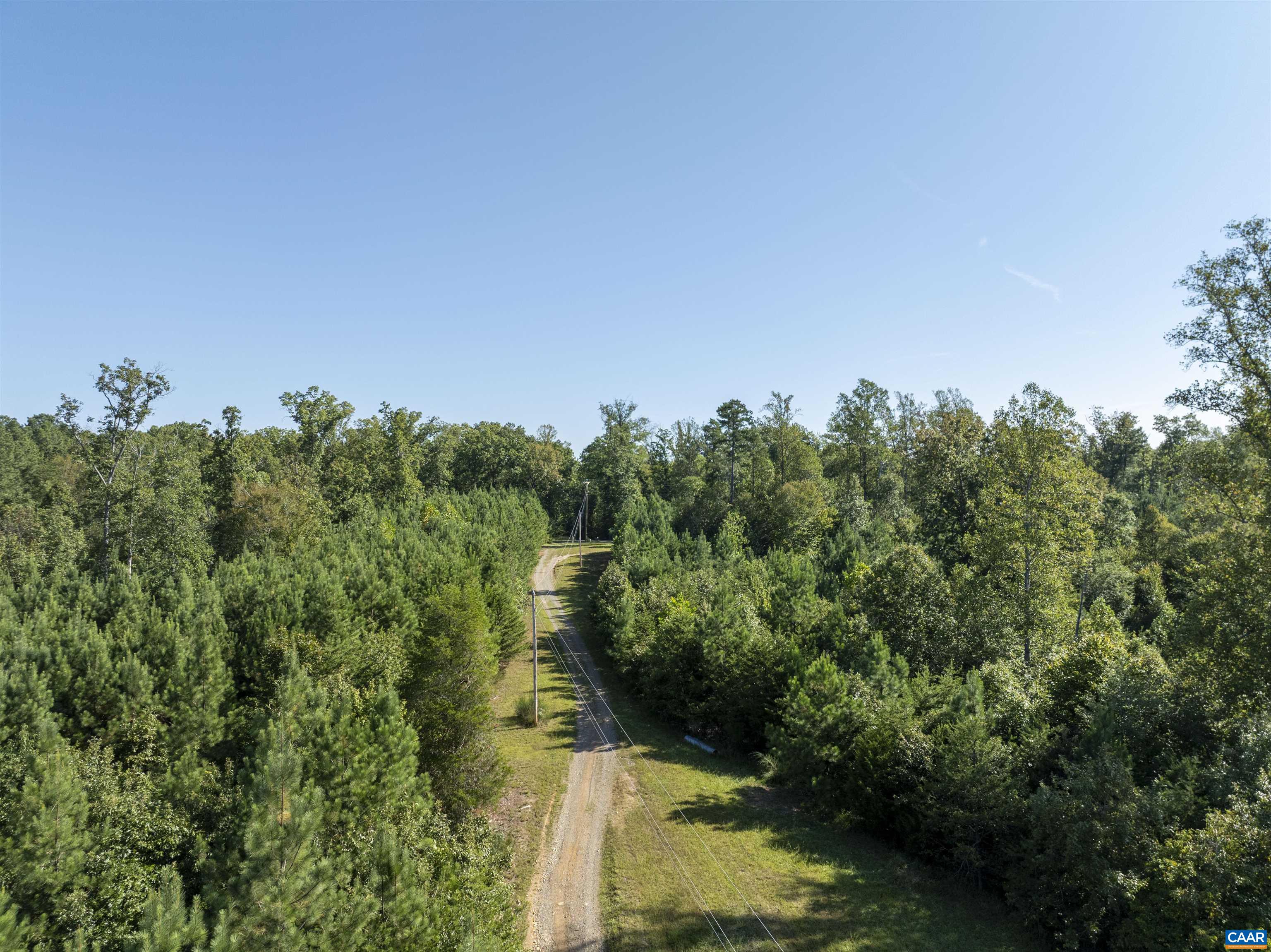 3860-1 Gilbert Station Road Barboursville, VA 22923 - Photo 12 of 14 a view of a garden with plants and large trees