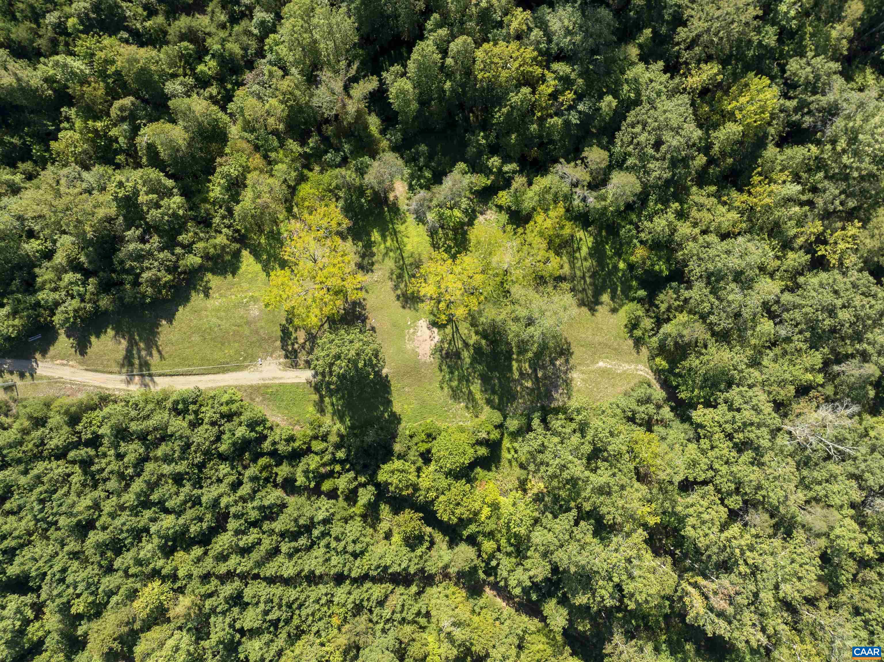 3860-1 Gilbert Station Road Barboursville, VA 22923 - Photo 13 of 14 a view of a yard with a tree