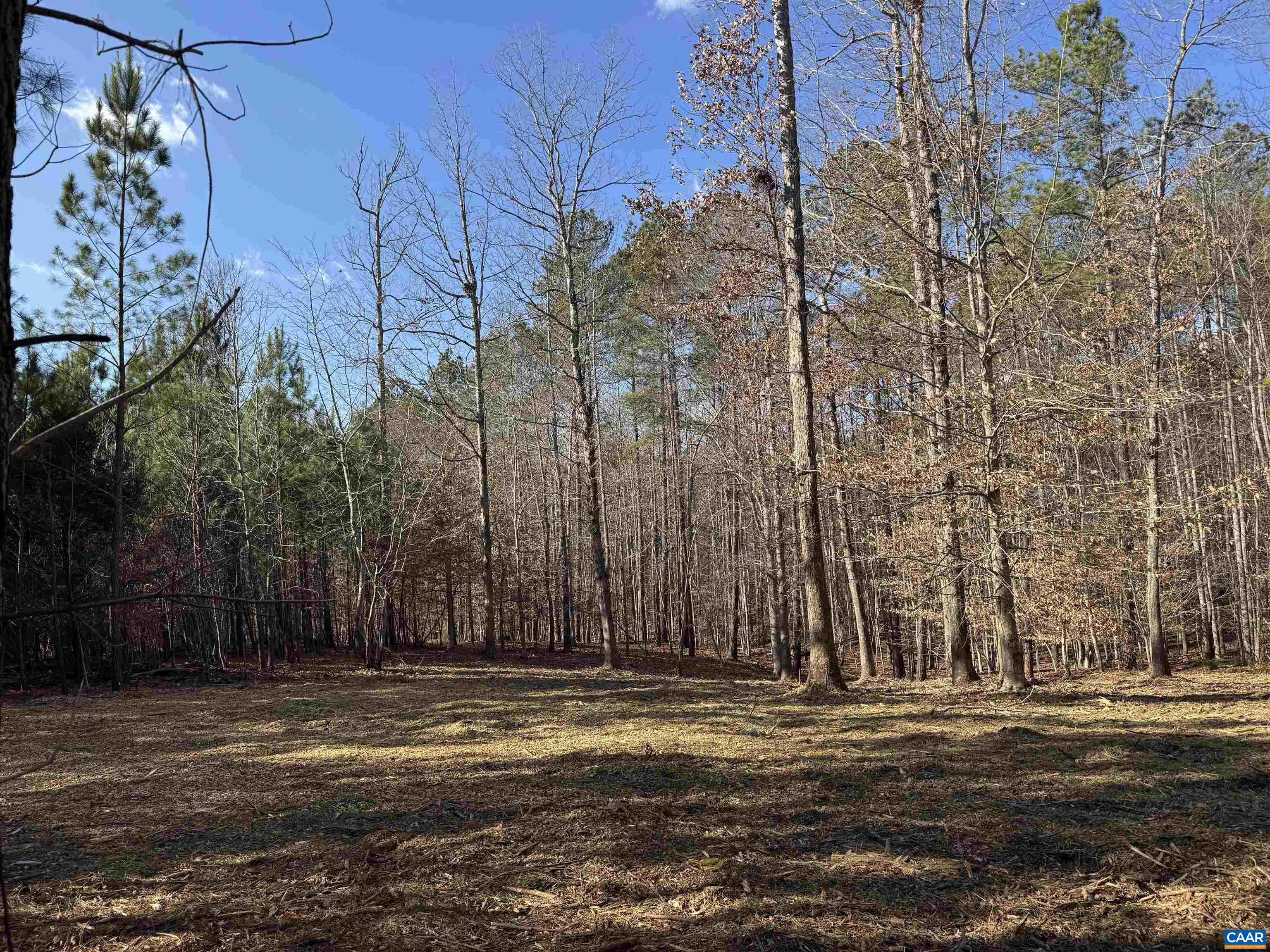 3860-1 Gilbert Station Road Barboursville, VA 22923 - Photo 4 of 14 a view of a volley ball court