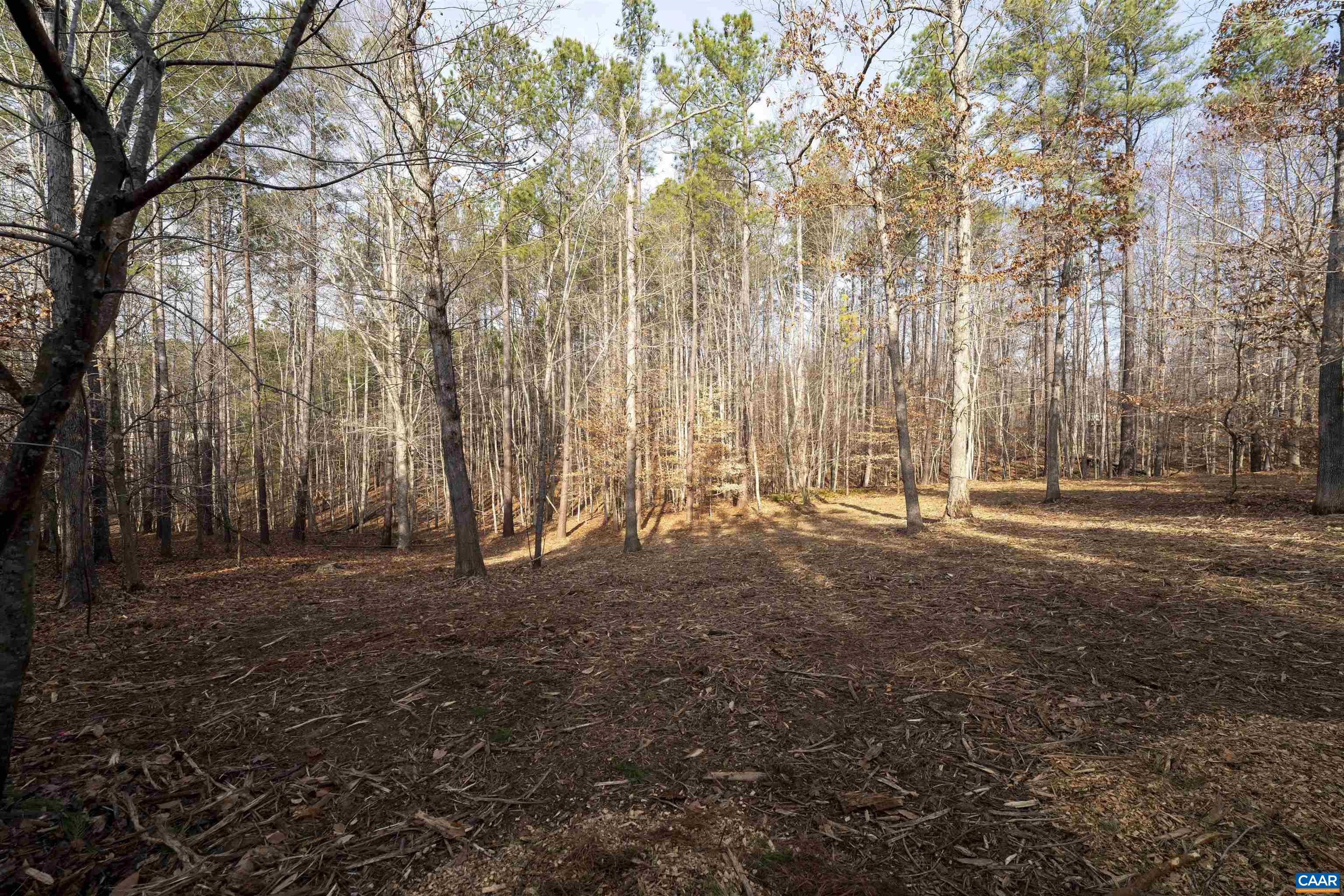 3860-1 Gilbert Station Road Barboursville, VA 22923 - Photo 5 of 14 a backyard of a house with lots of green space