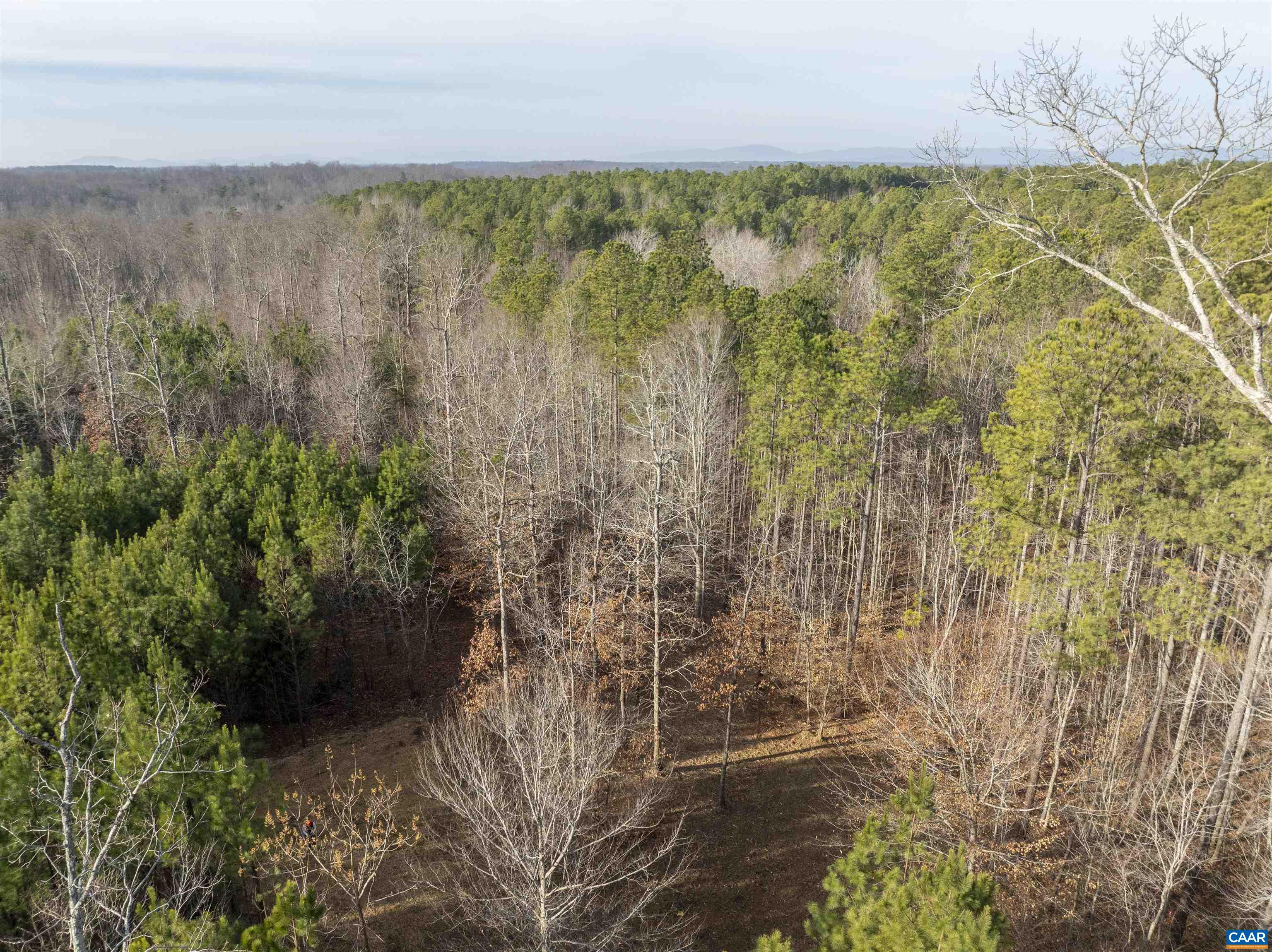3860-1 Gilbert Station Road Barboursville, VA 22923 - Photo 7 of 14 a view of a garden