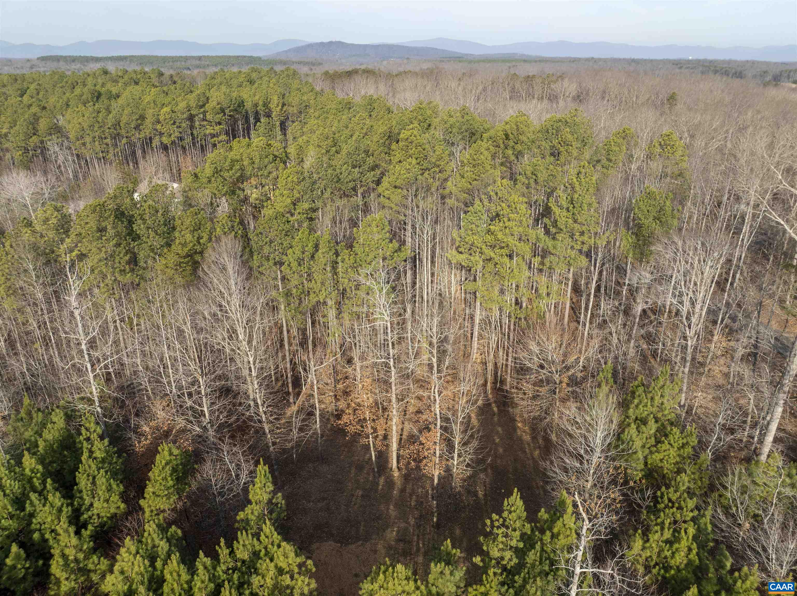 3860-1 Gilbert Station Road Barboursville, VA 22923 - Photo 8 of 14 a view of lake and green space