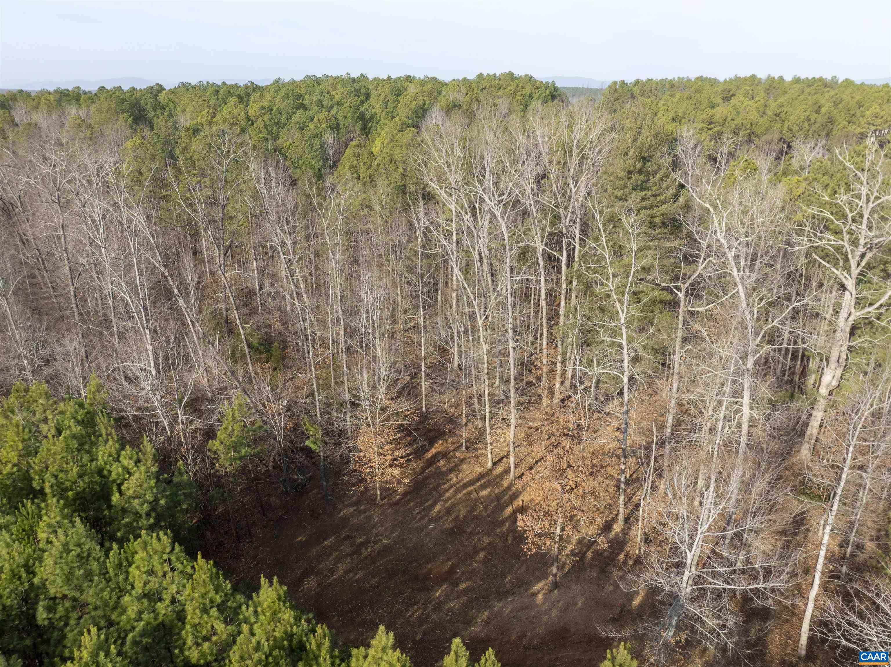3860-1 Gilbert Station Road Barboursville, VA 22923 - Photo 10 of 14 a view of a city with lush green forest