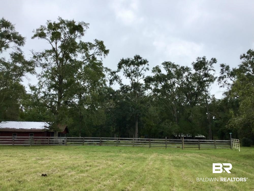 0 Country Road Axis, AL 36505 - Photo 15 of 42