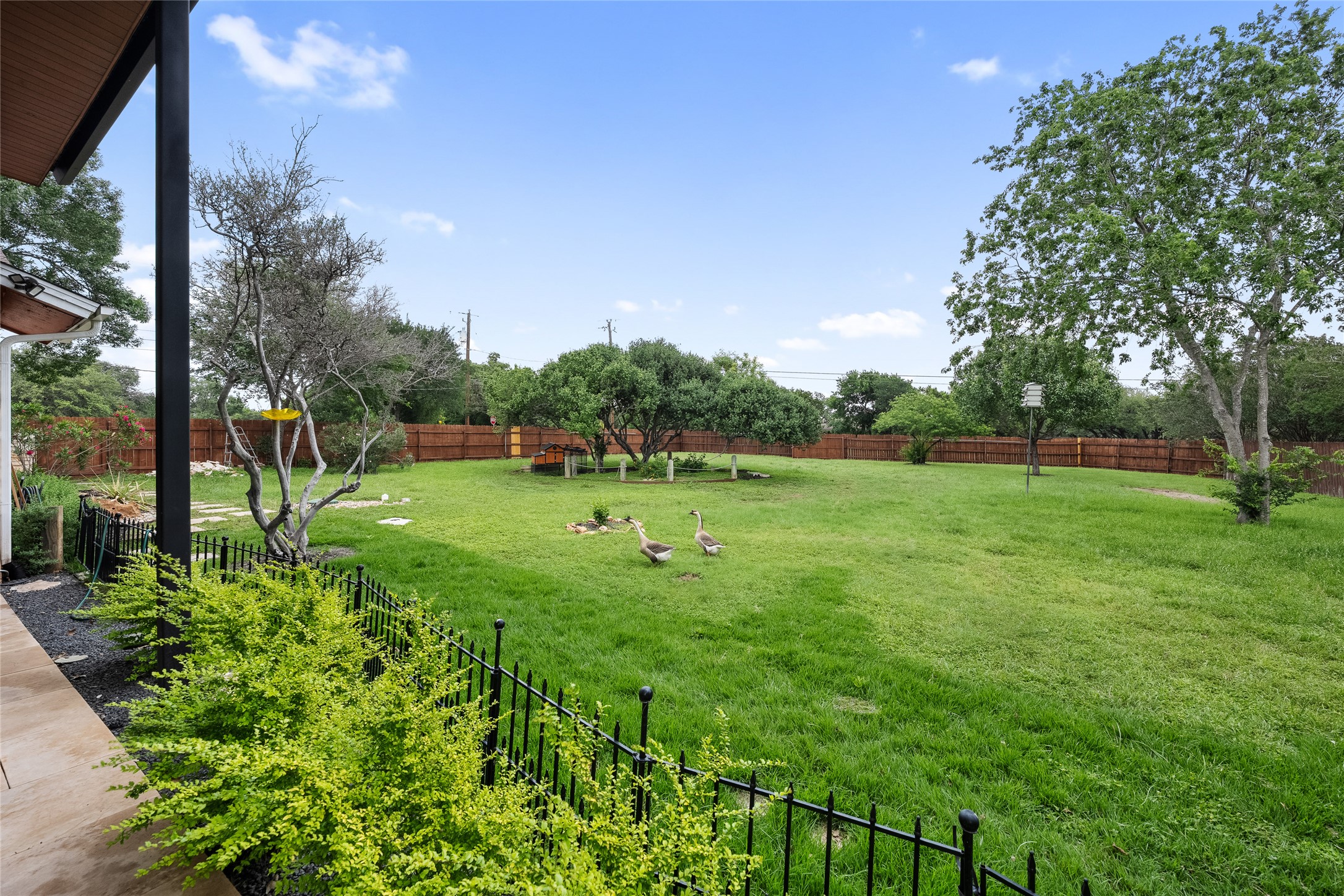 301 Oak Ridge Road Georgetown, TX 78628 - Photo 23 of 34 Expansive green lawn with mature trees and a perimeter wood fence