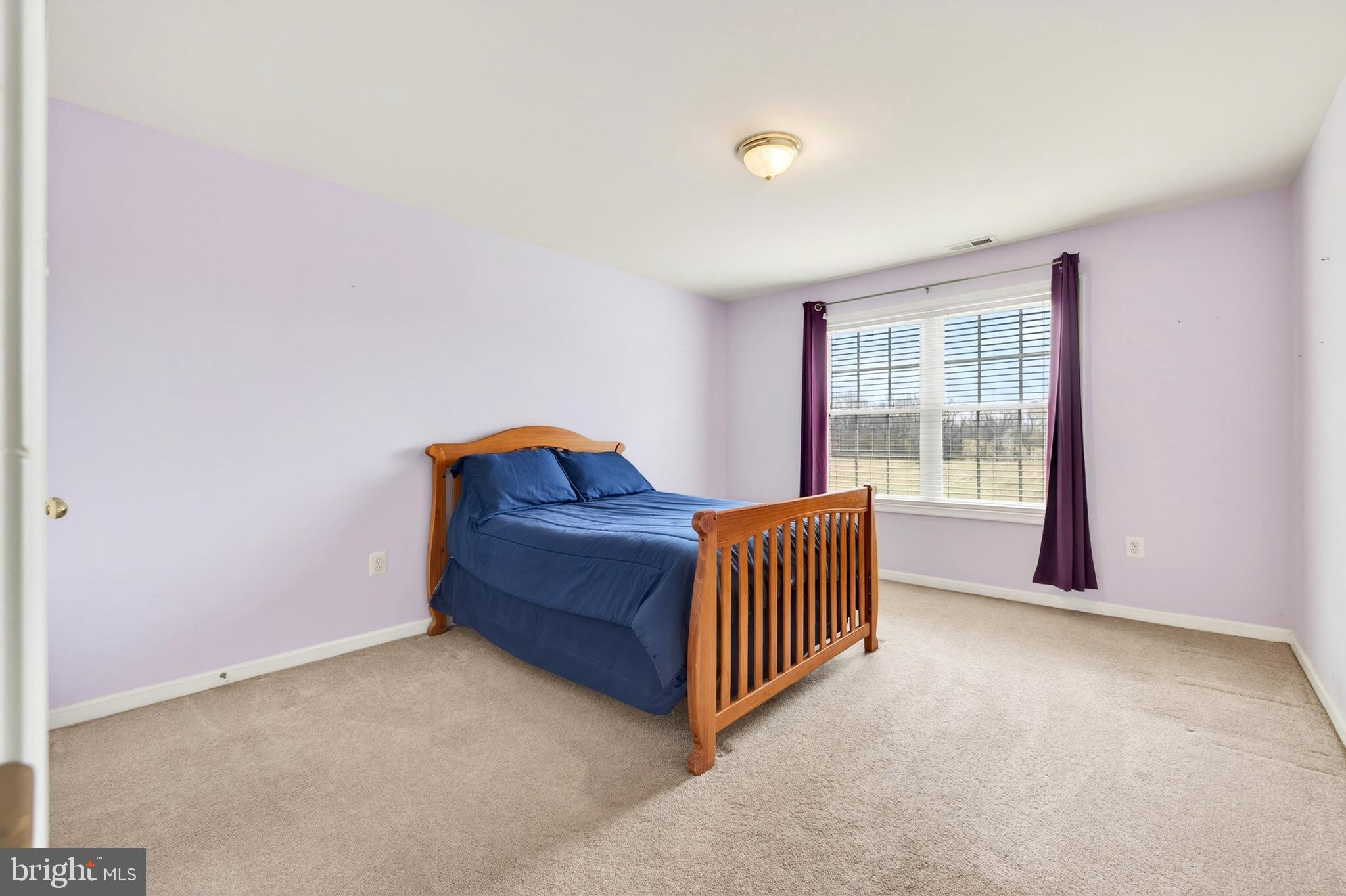 355 Hoover Road Woodstock, VA 22664 - Photo 28 of 59