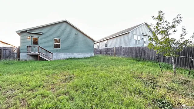 a view of a backyard with plants and large tree