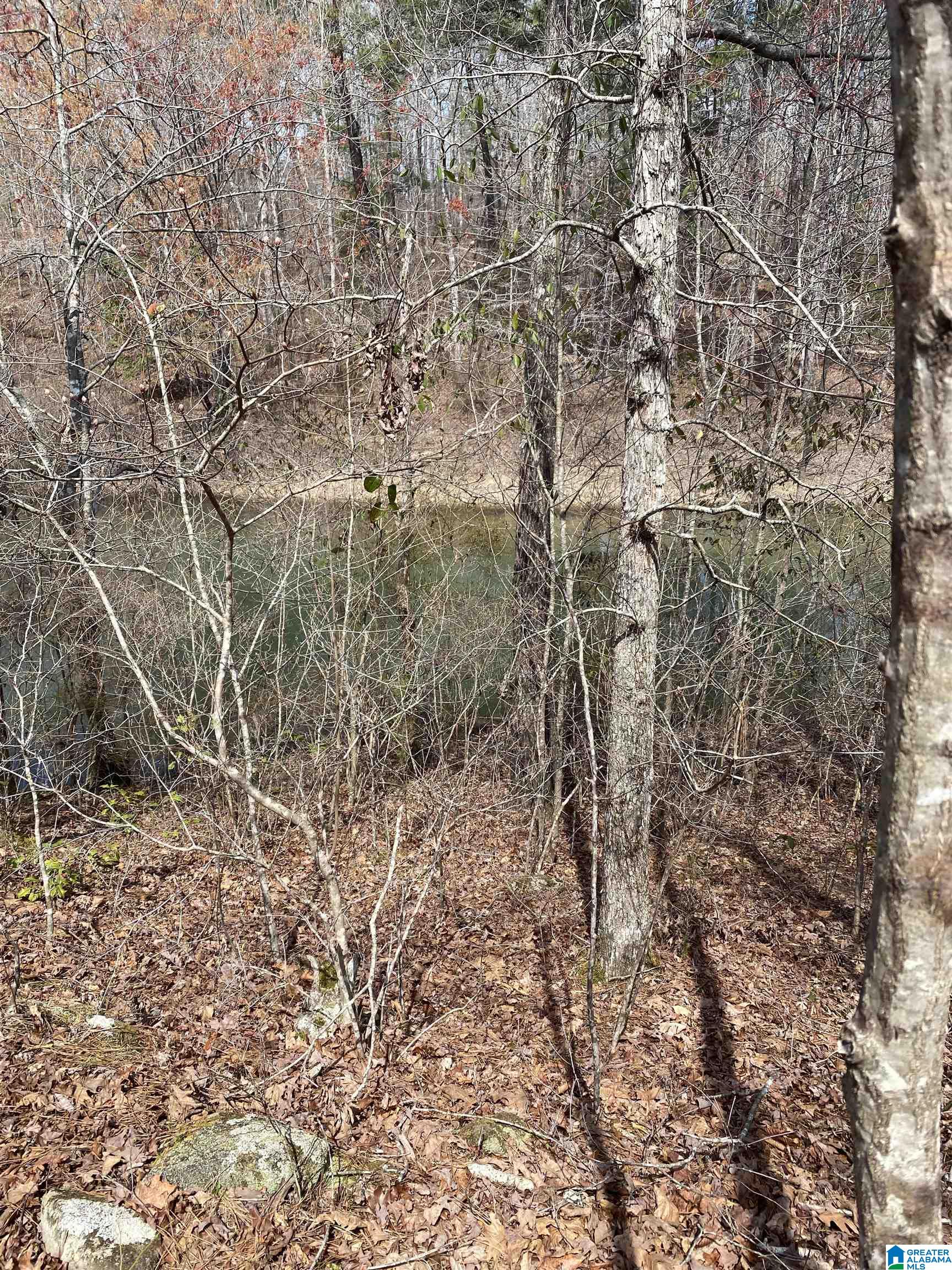 Lot 37 Stoney Point Road South, Unit 37 Double Springs, AL 35553 - Photo 12 of 33