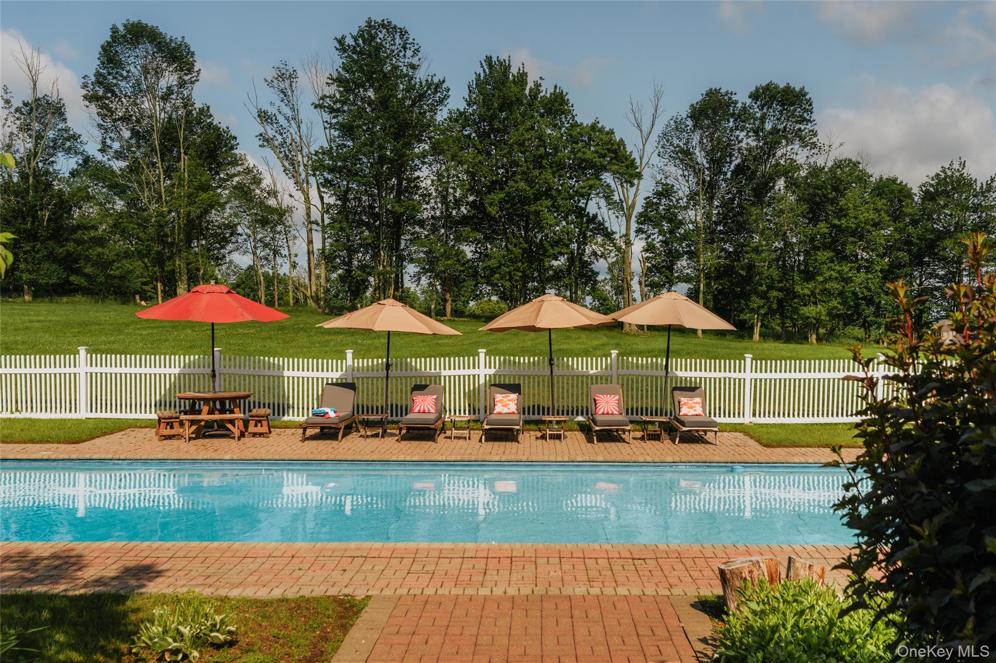 111 Jim Stephenson Road Jeffersonville, NY 12748 - Photo 32 of 50 a view of a garden with an outdoor space